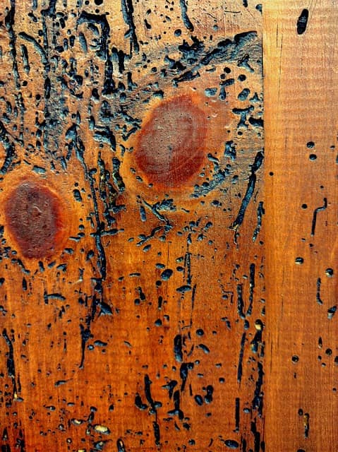 Viga de madera afectada por carcoma